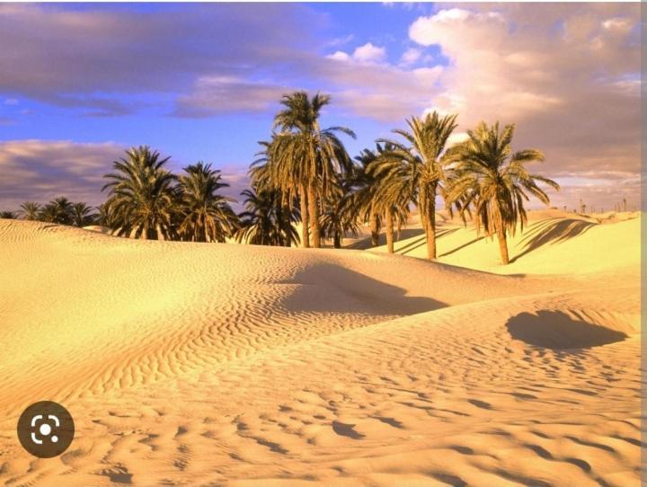 Riad Sable Chaud Marraquexe Exterior foto